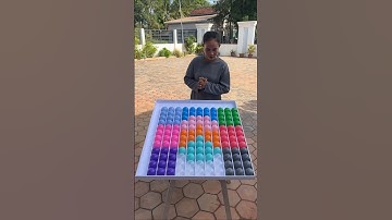 Color Sorting Puzzle Master