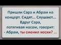 ✡️ Сара Занюхала Абрамовы Носки! Еврейские Анекдоты! Анекдоты про Евреев! Выпуск #124