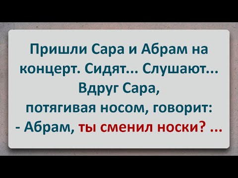 ✡️ Сара Занюхала