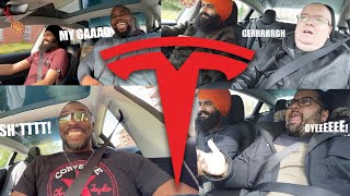 Tesla Whiplash - PunjabiBeardos