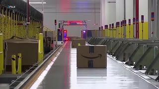 How Amazon and Maui pineapples could help diversify Hawaii’s economy