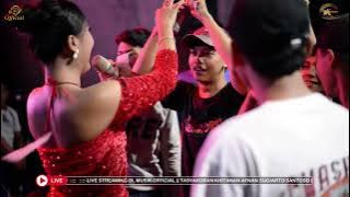 GADIS BALI - DIANA VANESA BLMUSIK LIVE IN KAROYA WARUNGGUNUNG