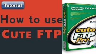 How to use Cute FTP - tutorial video by TechyV