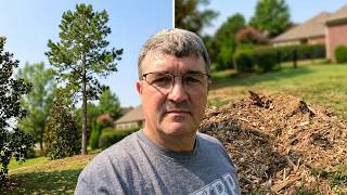How FAST Can We Remove a Tree & Grind the Stump