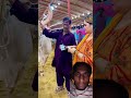 Lo Agi Qurbani 2025 Masha Allah Comingsoon Ytshorts Cowlover Cow Bakra Mandi Lo Agi Qurbani 2025 Masha Allah Comingsoon Ytshorts Cowlover Cow Bakra Mandi