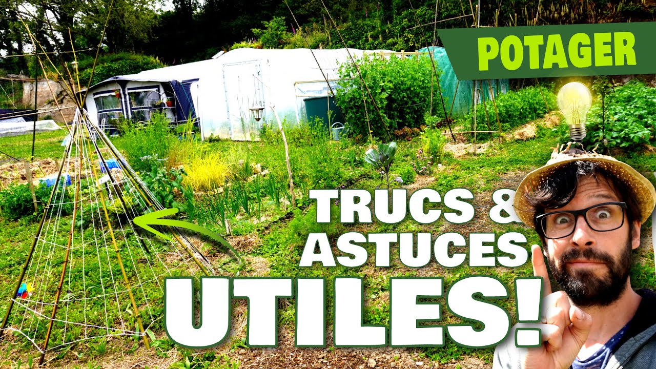 Les astuces INDISPENSABLES pour un bon potager!