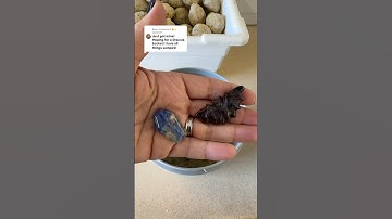 Monster Crystal Mining Bucket! *All Stones are Authentic!