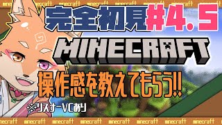 【参加型（限定メンバー）・マインクラフト・リスナーVCあり】完全初見なマイクラ開始＃4.5