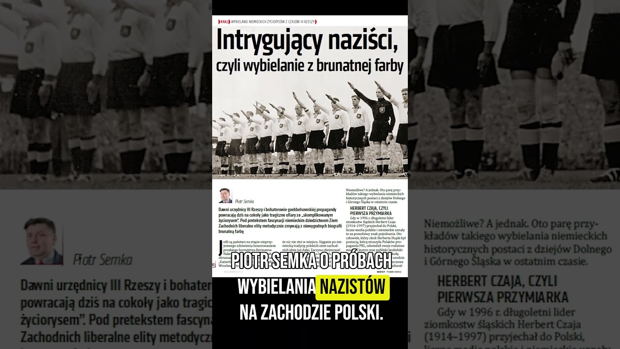 Miniatura: Meandry polityki PiS.