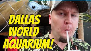 DALLAS WORLD AQUARIUM!