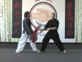 Master Lee Merrill - Kung Fu San Soo - Hammer Strikes