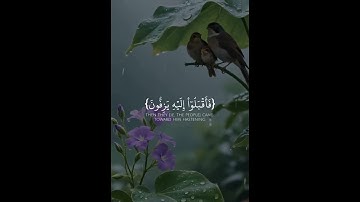 Сура Ас-Саффат Аяты 91-99 #коран #quran #سوره الصافات من الايه 91 الي99 #قران_كريم #قران_كريم
