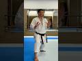 Kancho Special Lesson "Exploring tsuki" 金澤伸明館長・特別稽古会「突きの探究」2026/4/12