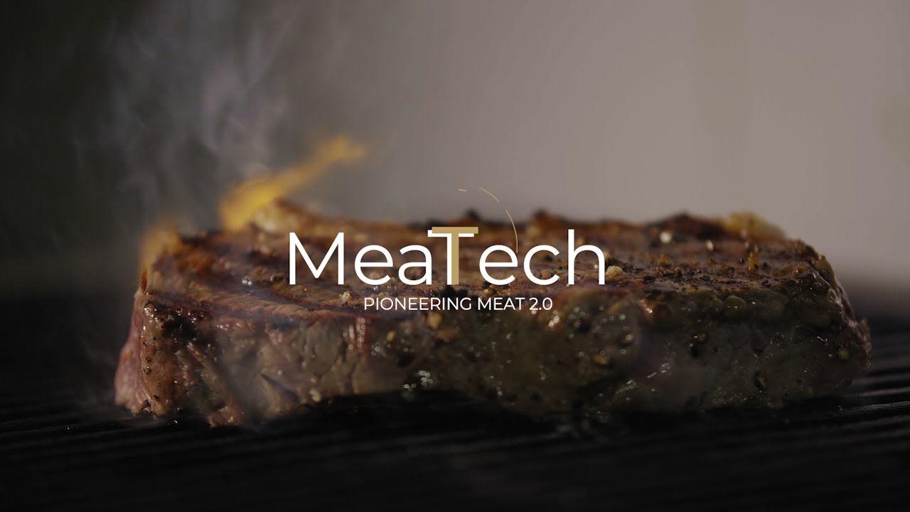 Animated proof of concept video for 3D Printed Vegan friendly meat by - Meatech Israeli startup