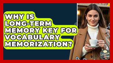 Why Is Long-Term Memory Key For Vocabulary Memorization? - Lexicon Lounge