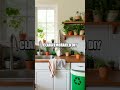 Eco-Friendly Frugal Living: Sustainable Savings Techniques
