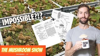 The 'Money Making Mushroom'' That Nobody Can Actually Grow? (The Mushroom Show Episode 12)