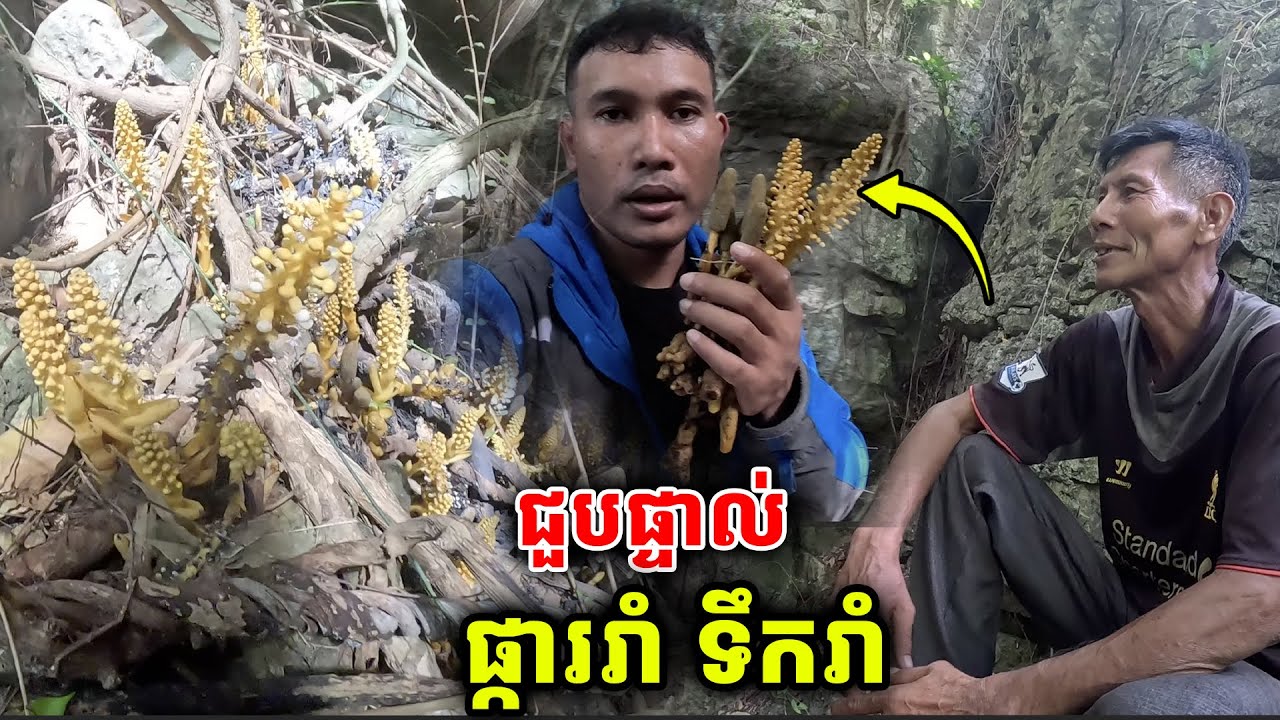 ជួបផ្ទាល់ ឃើញផ្ទាល់ ផ្ការរាំទឹករាំ ពិតៗ [ ហនុមាន-Haknuman]