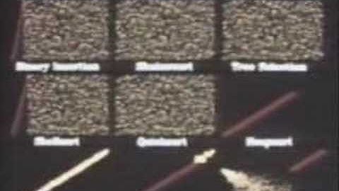 Sorting Out Sorting - Part 4