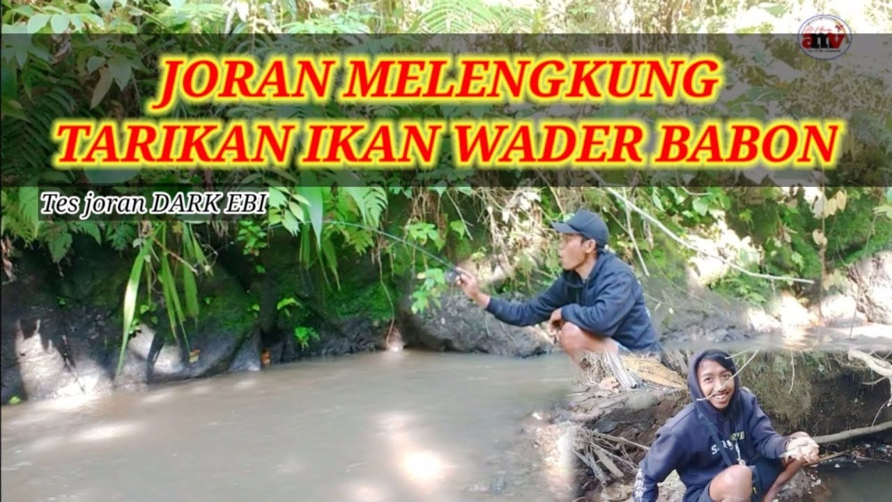 TES JORAN THAILAND DI SARANG WADER