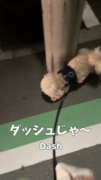 かんさいべんしゃべっｔ