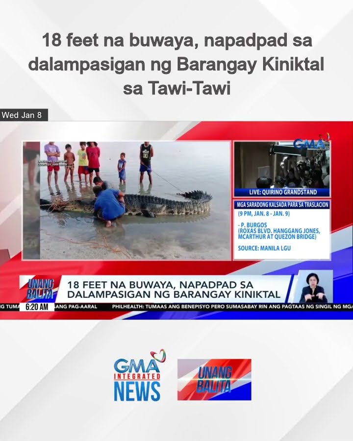 18 feet na buwaya, napadpad sa dalampasigan ng Barangay Kiniktal sa Tawi-Tawi | Unang Balita
