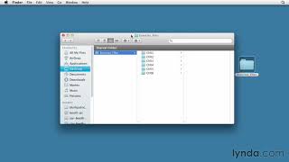 0002 Using The Exercise Files