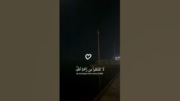 الآية 53 من سورة الزمر ♡