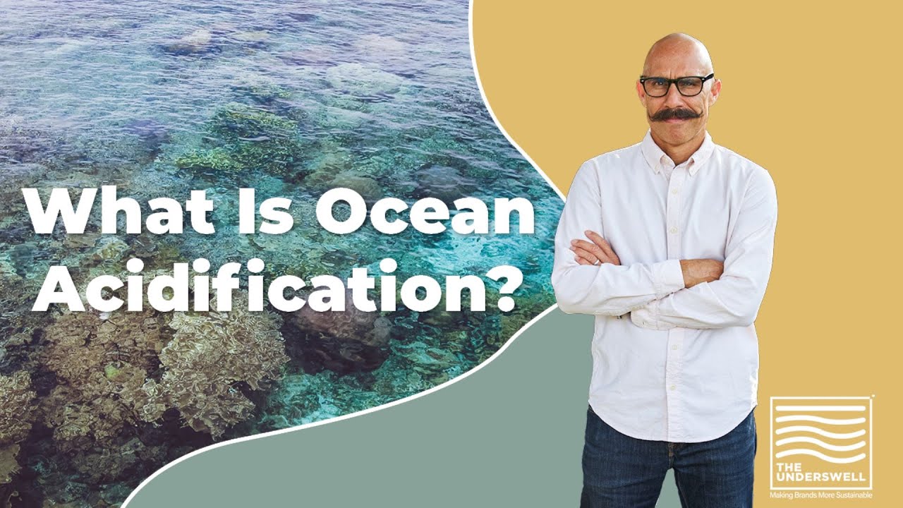 What Is Ocean Acidification?