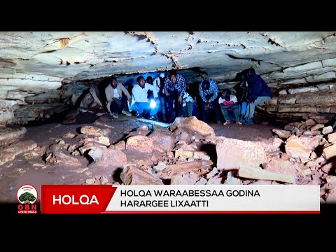 Holqa Waraabessaa Godina Harargee Lixaatti
