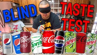 Blind Soda Taste Test ft. My Sister!!