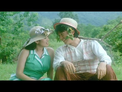 又火起来的伤感歌曲《恨在今天再相遇》，心碎动听，情爱路为谁倦