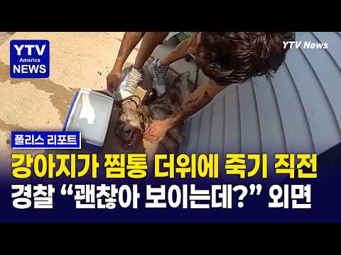 “죽지 마, 숨 쉬어!” 견주의 처절한 애원…결국 숨진 반려견, 경찰 대처 ‘논란’ thumbnail