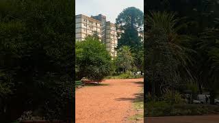 Antiguas vías del trencito del parque Avellaneda y el conjunto Lacarra #shorts #buenosaires