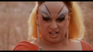 Pink Flamingos - Reflecting On Peak Trash Cinema