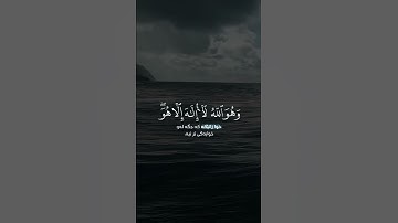 القاري ماهر المعيقلي سورة القصص