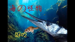 獨居幽靈の長得越怪越好吃&quot;烤魚&quot;鱷形叉尾鶴鱵&quot;居家料理 