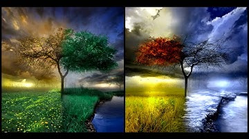 B0UNC3 - Distorted reality