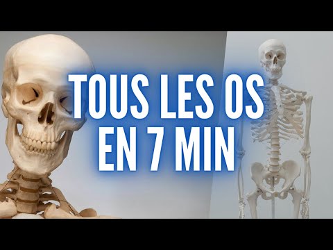 Vidéo: Combien de côtes les humains ont-ils ?