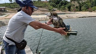 His first time fishing after 10 years! Barelang, Batam.