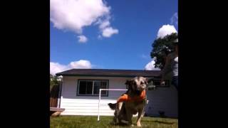 Agility Week 1