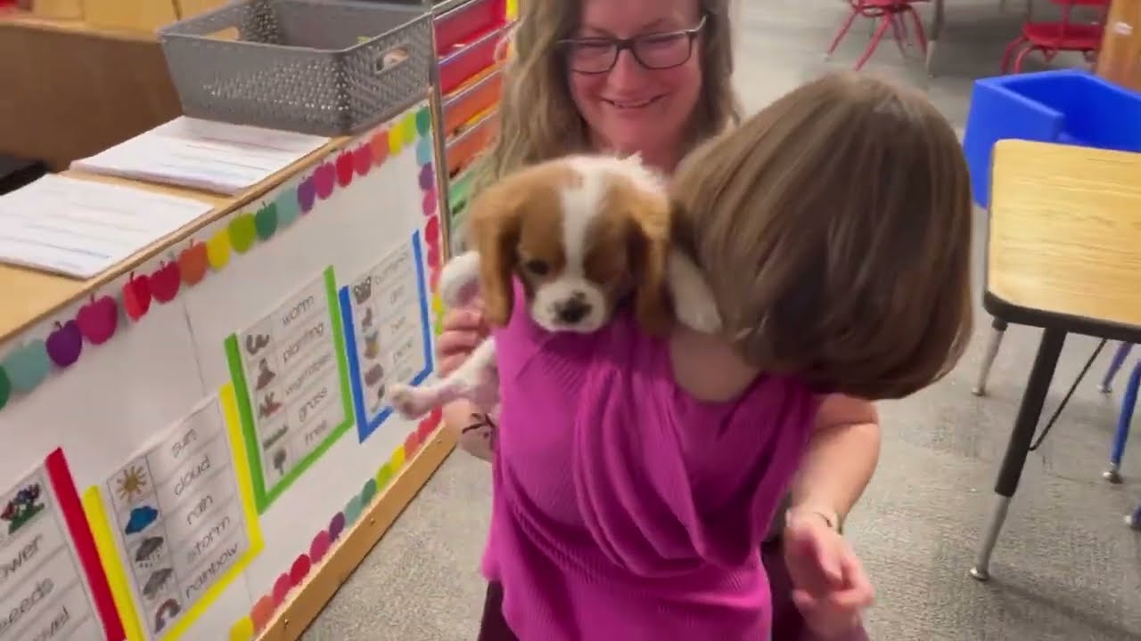 Puppy Goes to Preschool Again