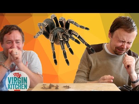 TARANTULA ETEN met ASHENS