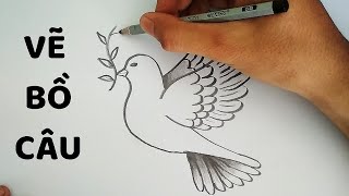 Vẽ Chim Bồ Câu Đơn Giản - How To Draw A Dove - Youtube