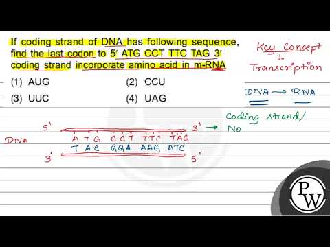 If coding strand of DNA has following sequence, find the last codon to 5' ATG CCT TTC TAG 3' cod...