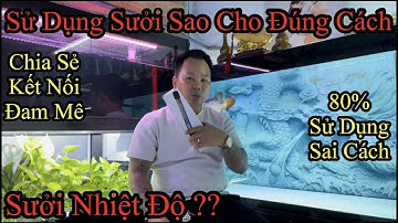 Hướng Dẫn Sử Dụng Sưởi Nhiệt Độ Cho Đúng Cách Trong Hồ Cá Rồng | 80% Đặt sai Vị Trí ?