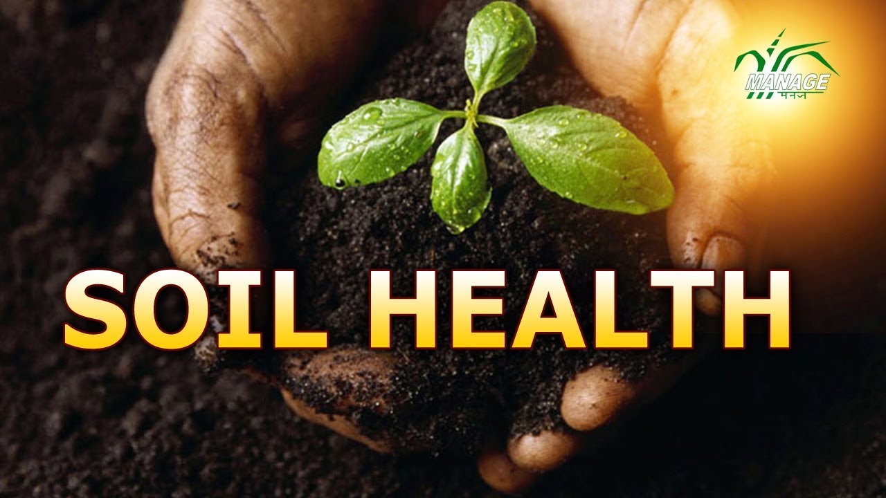 Soil Health Hindi YouTube