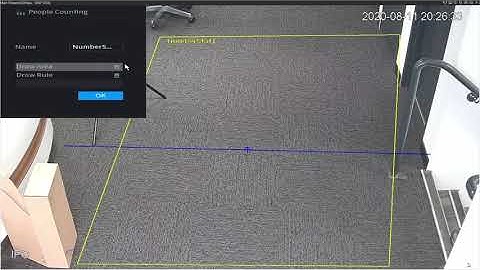 Dahua NVR - How to set up People Counting