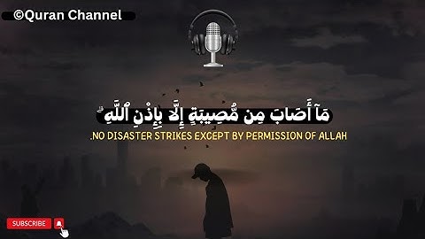 ساعة كاملة⏰ راحة نفسیة - تلاوة هادئة تریح القلب والاعصاب🎧 قارئ شریف مصطفی❤ هیثم الدخین💙 احمد خضر🤍