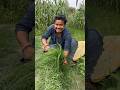 Ladki Ke Liye Kuch Bhi Kar Sakhta Hu 😄😂😁 #funny #viral #shorts